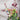 Necklaces - Molly Green