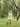 Molly Green - Greer Peach Mini Dress - Casual_Dresses